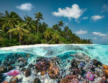 2000 pc A Dive In The Maldives Puzzle - Image 3