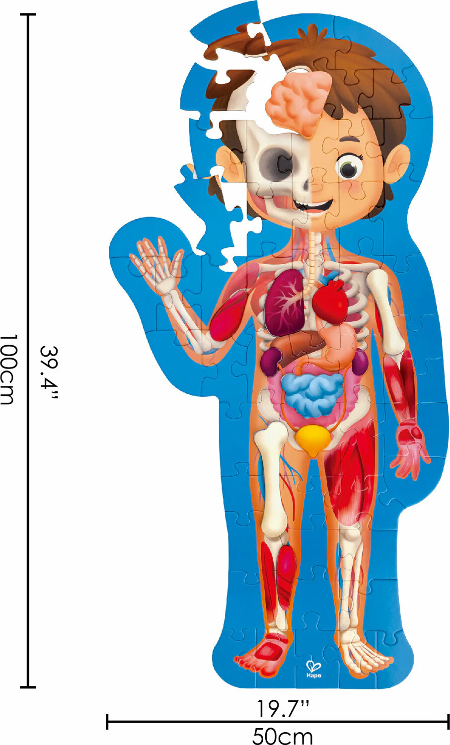 60 pc Human Body Floor Puzzle - Image 10