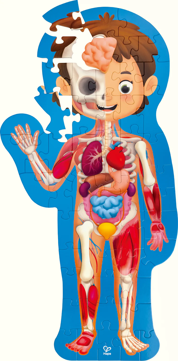60 pc Human Body Floor Puzzle - Image 4