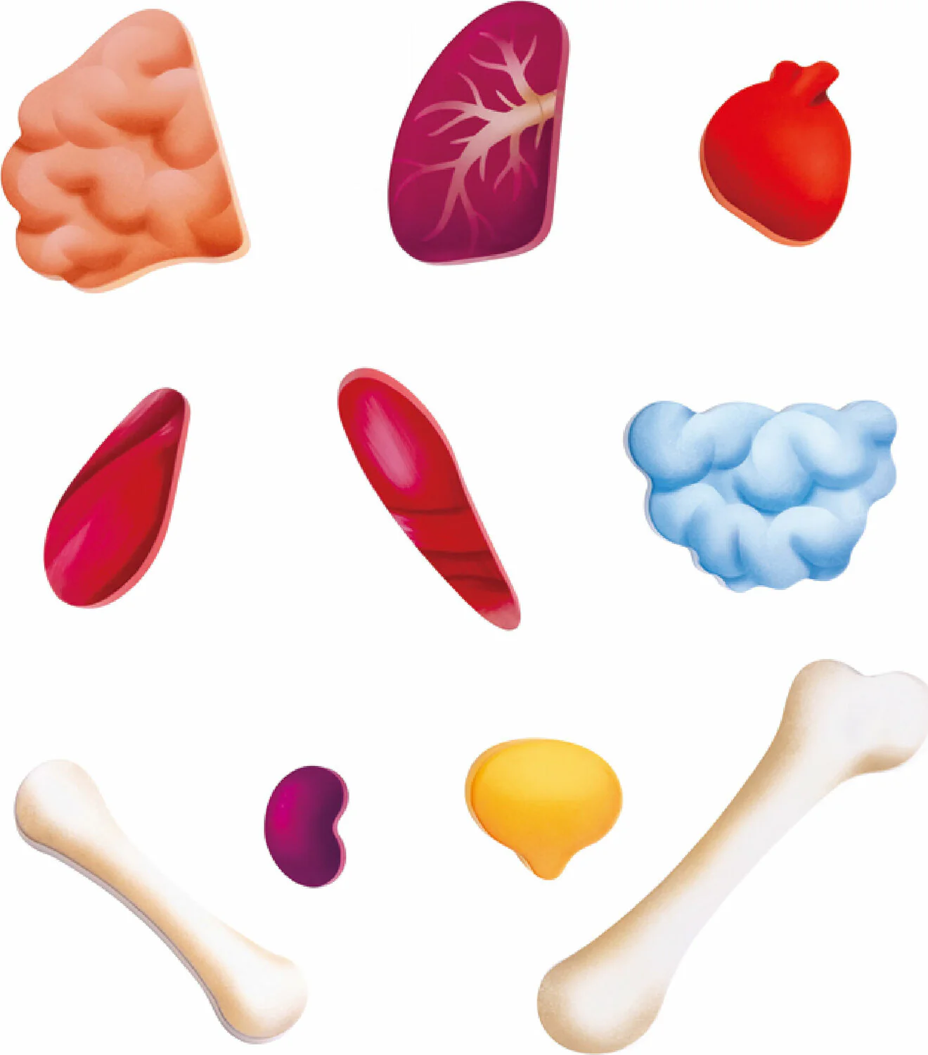 60 pc Human Body Floor Puzzle - Image 9