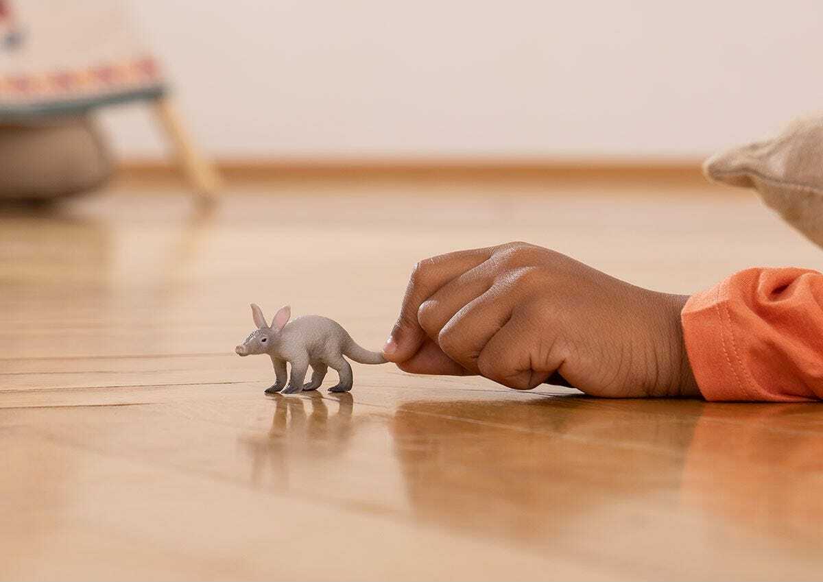 Aardvark - Image 3
