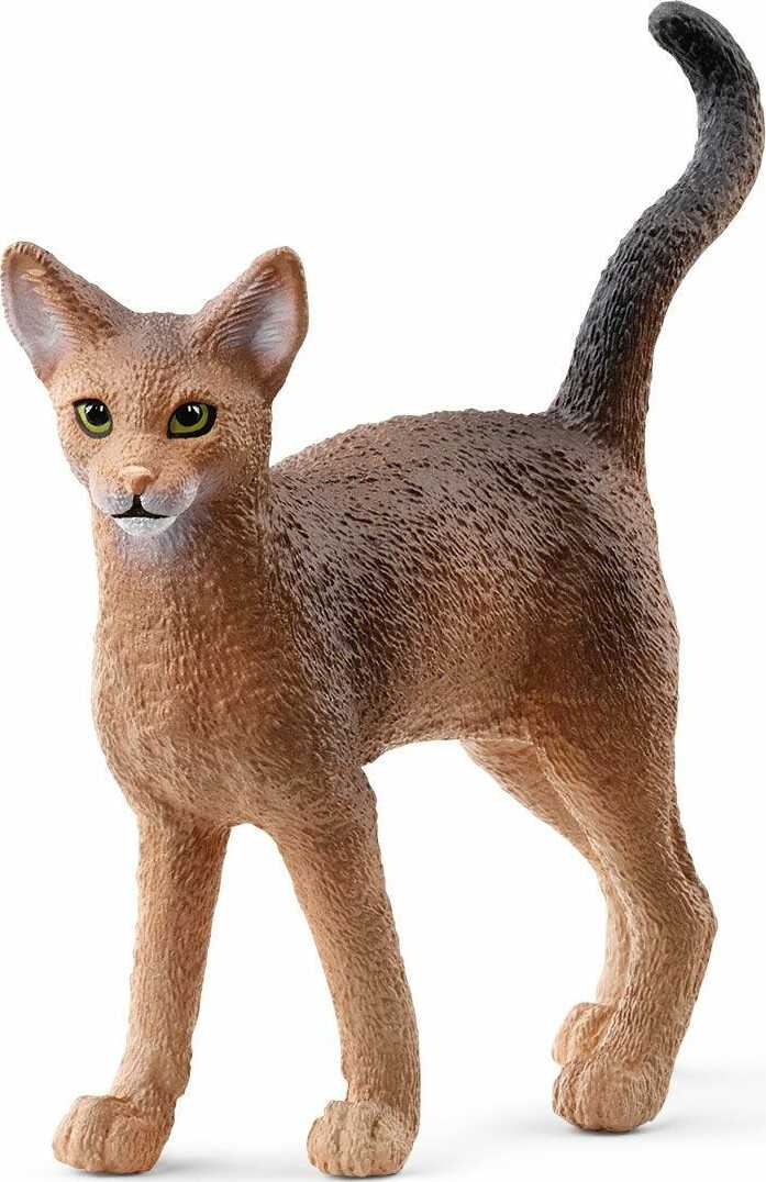 Abyssinian Cat - Image 2