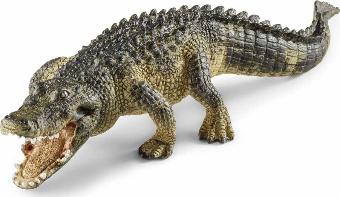 Alligator - Image 2