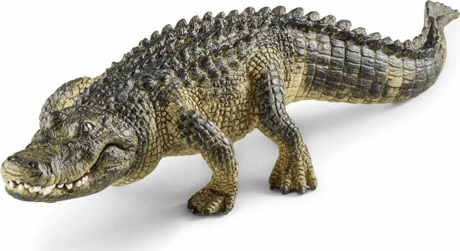 Alligator - Image 3