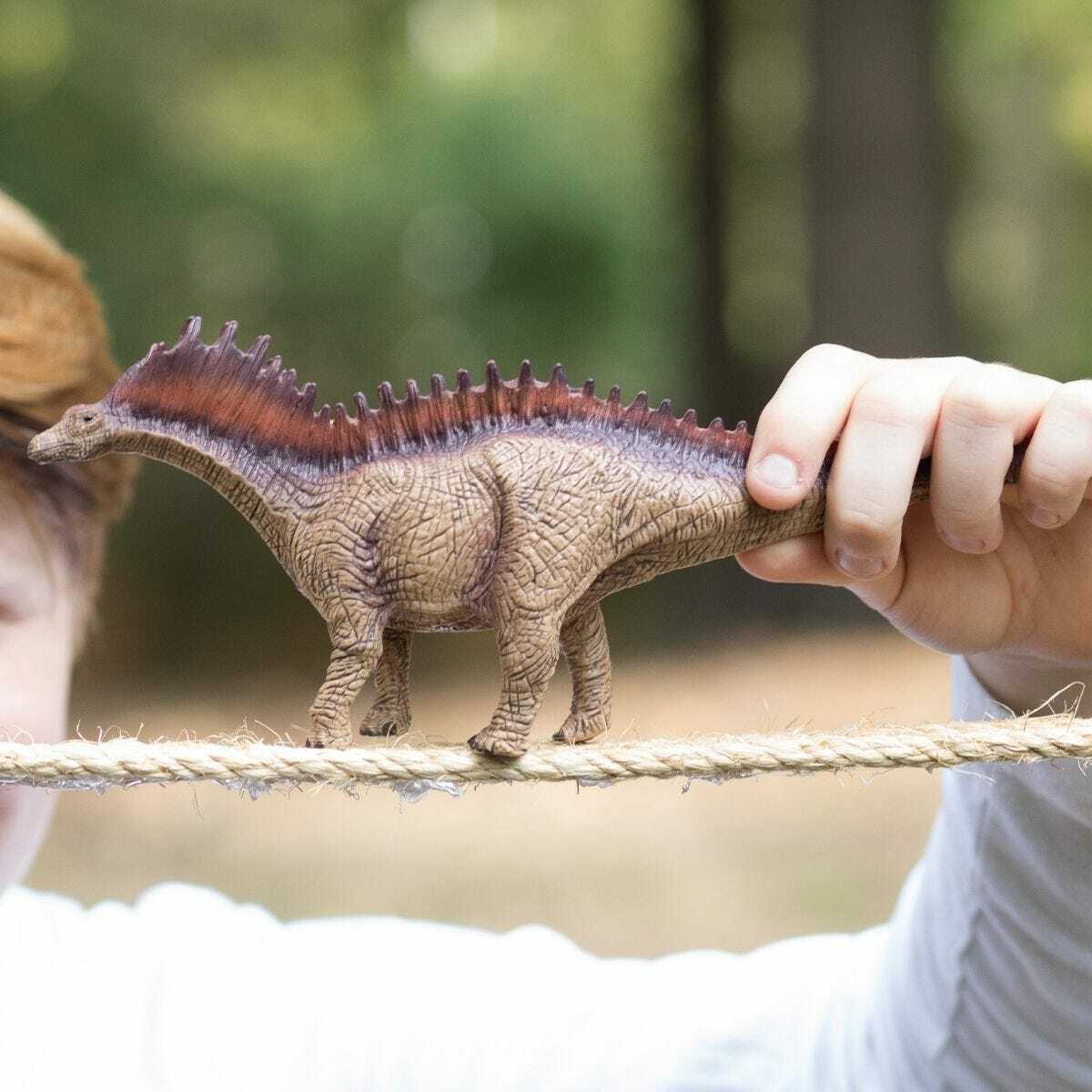 Amargasaurus - Image 2