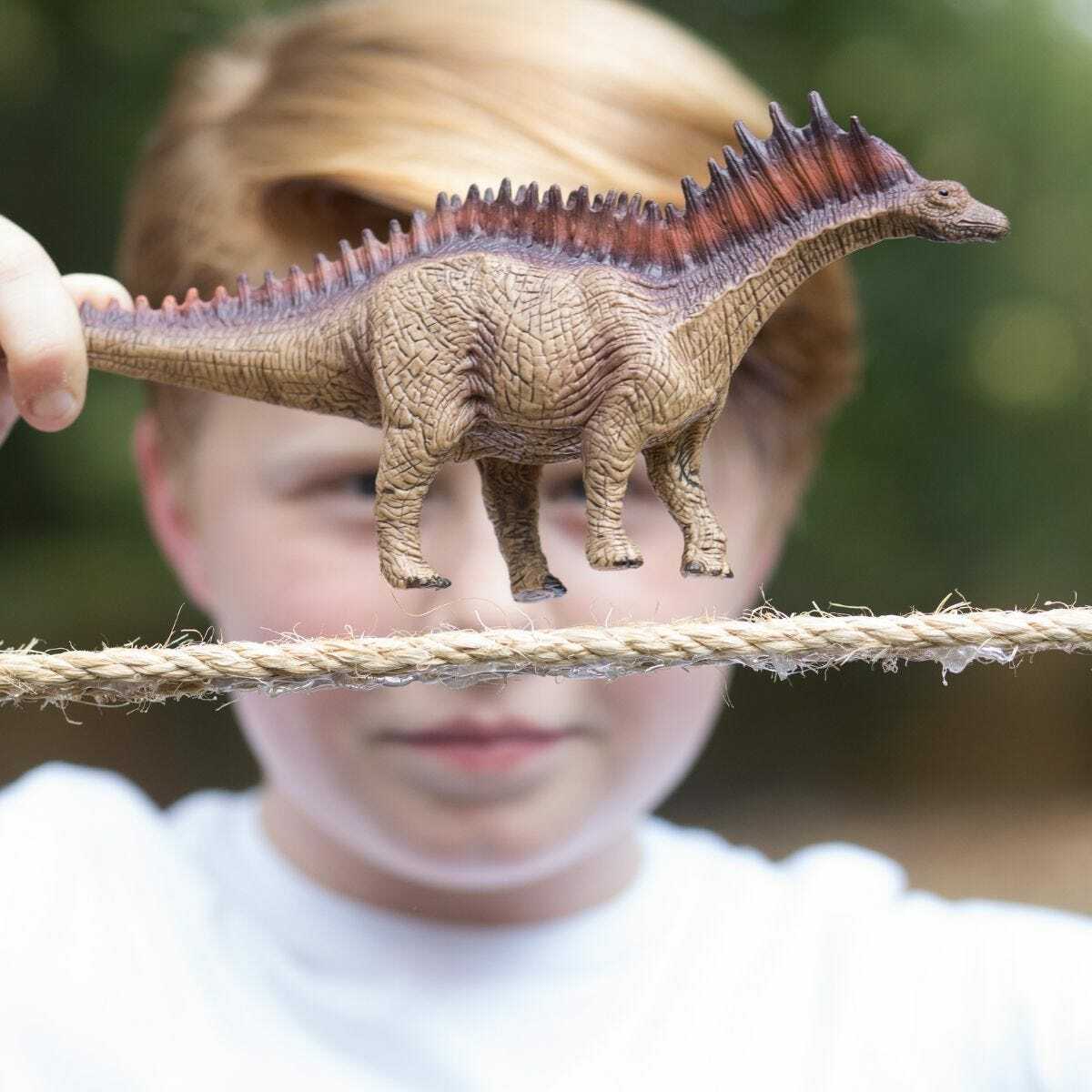 Amargasaurus - Image 3