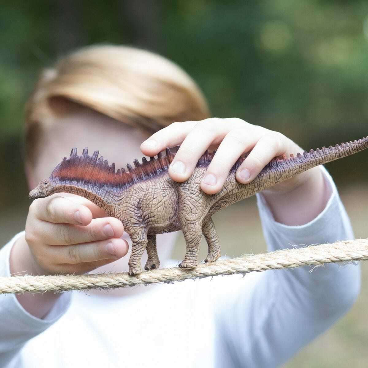 Amargasaurus - Image 4