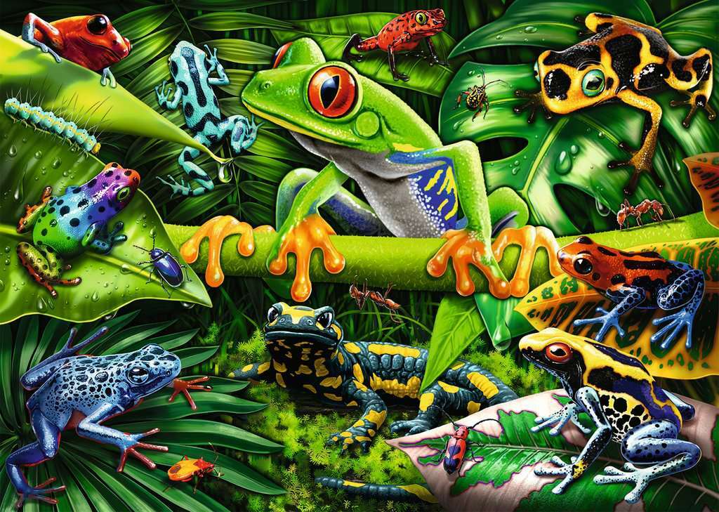 35 pc Amazing Amphibians Puzzle - Image 2