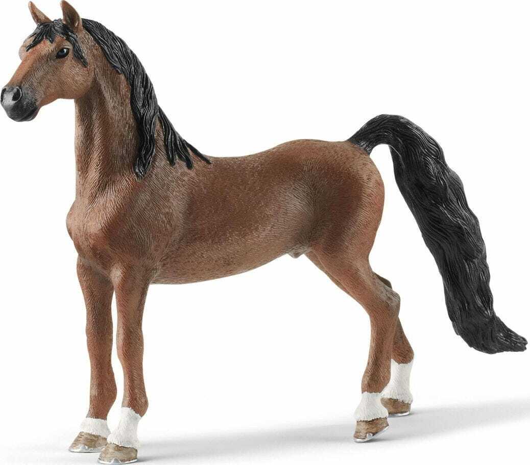 American Saddlebred Gelding - Image 2