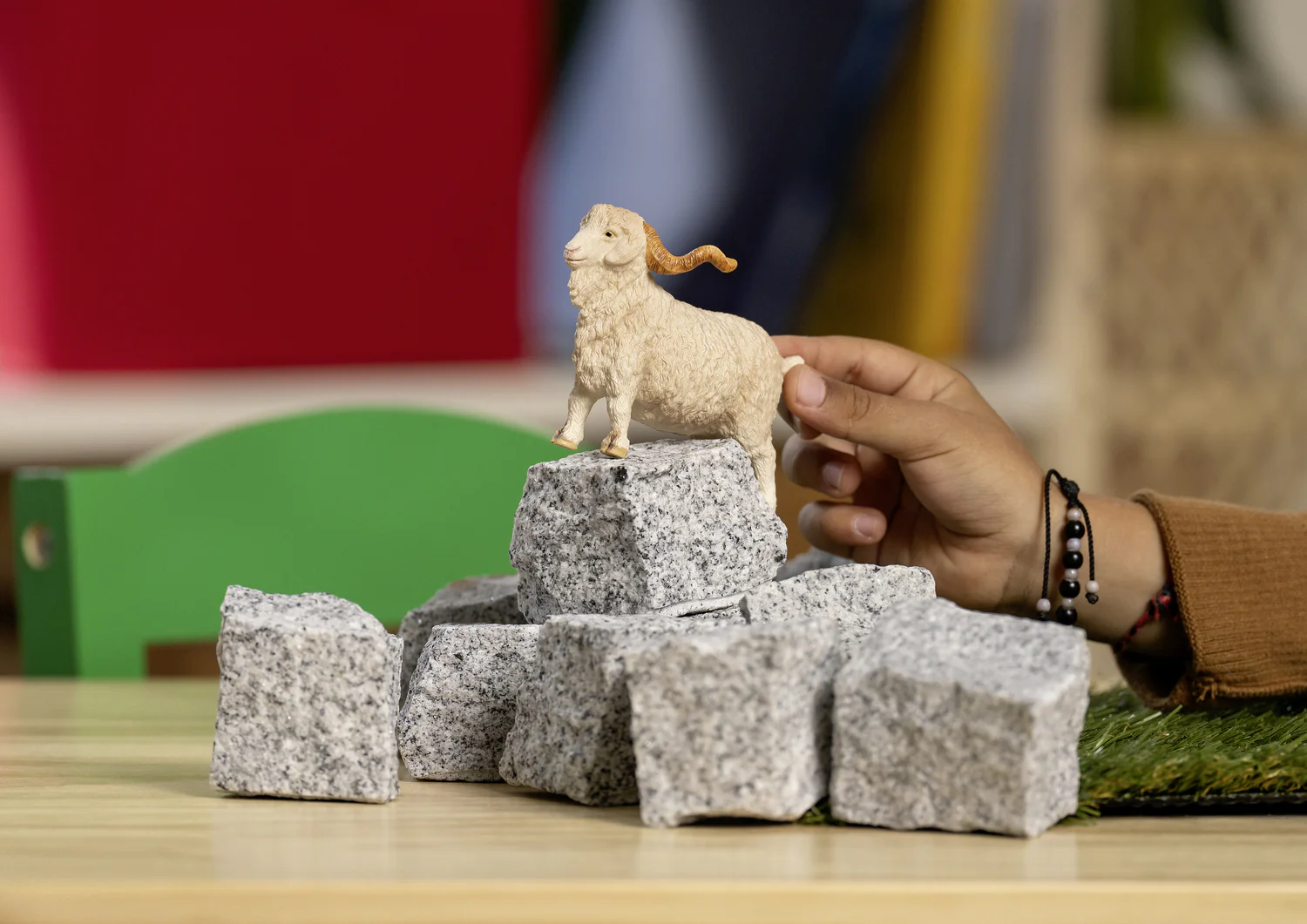 Angora Goat - Image 3