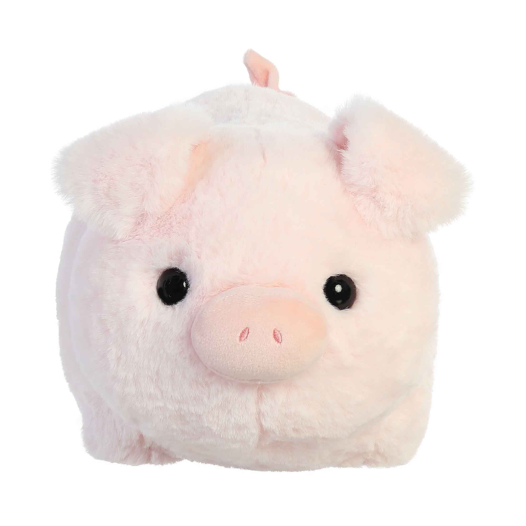 Cutie Pig 10" Spudsters - Image 3