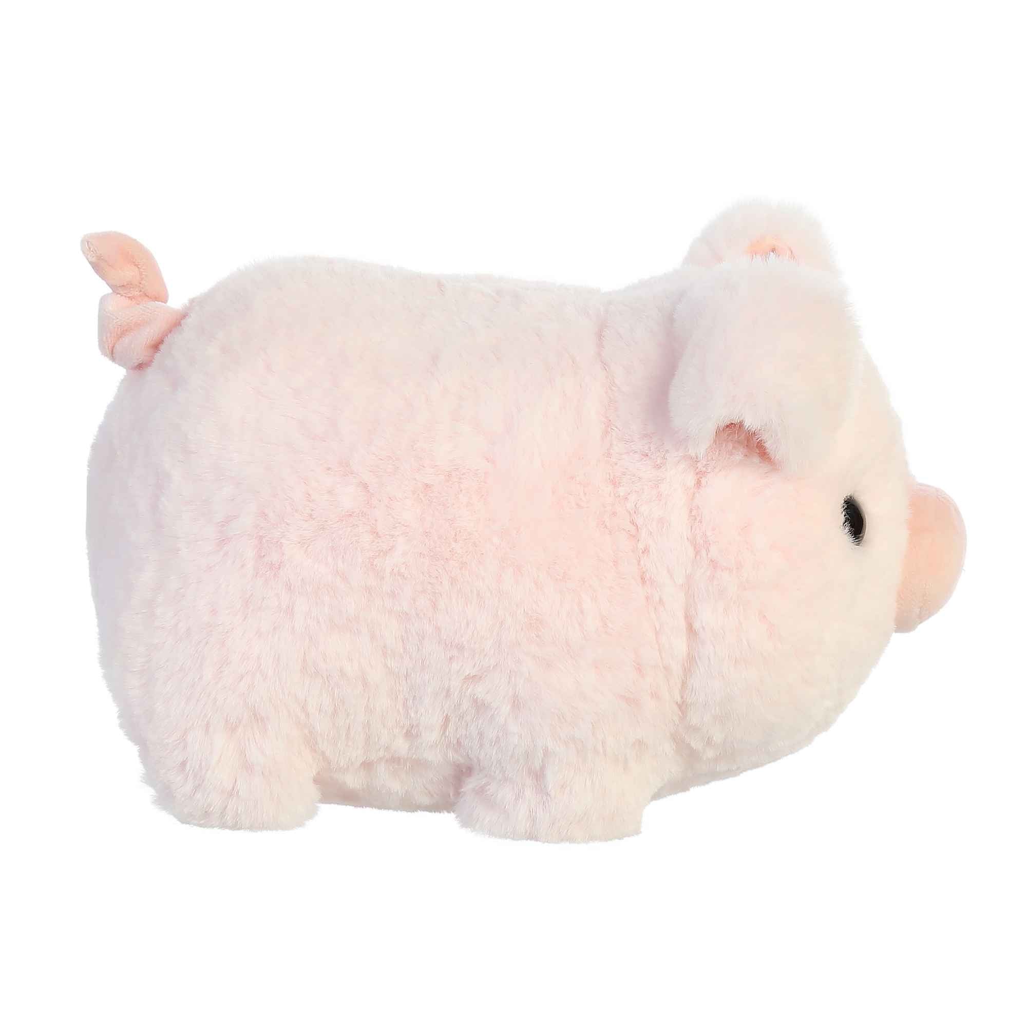 Cutie Pig 10" Spudsters - Image 4