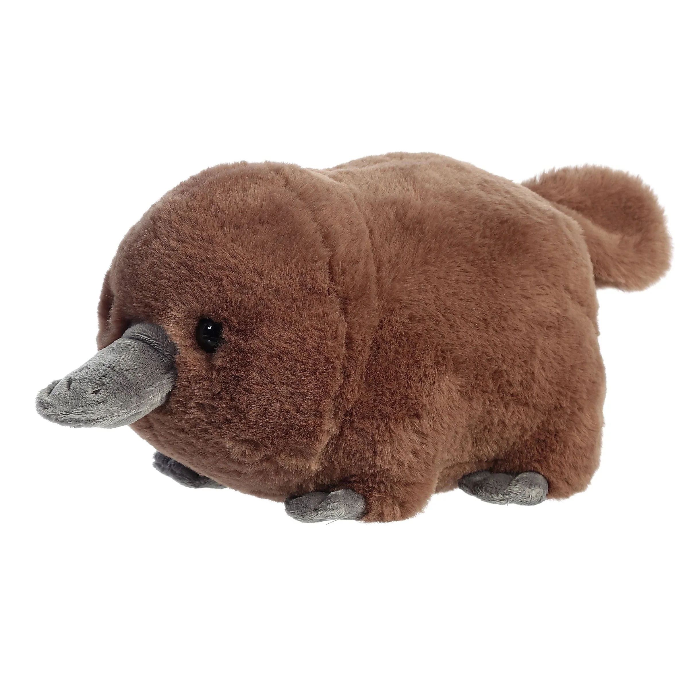 Pongo Platypus 10" Spudsters - Image 5