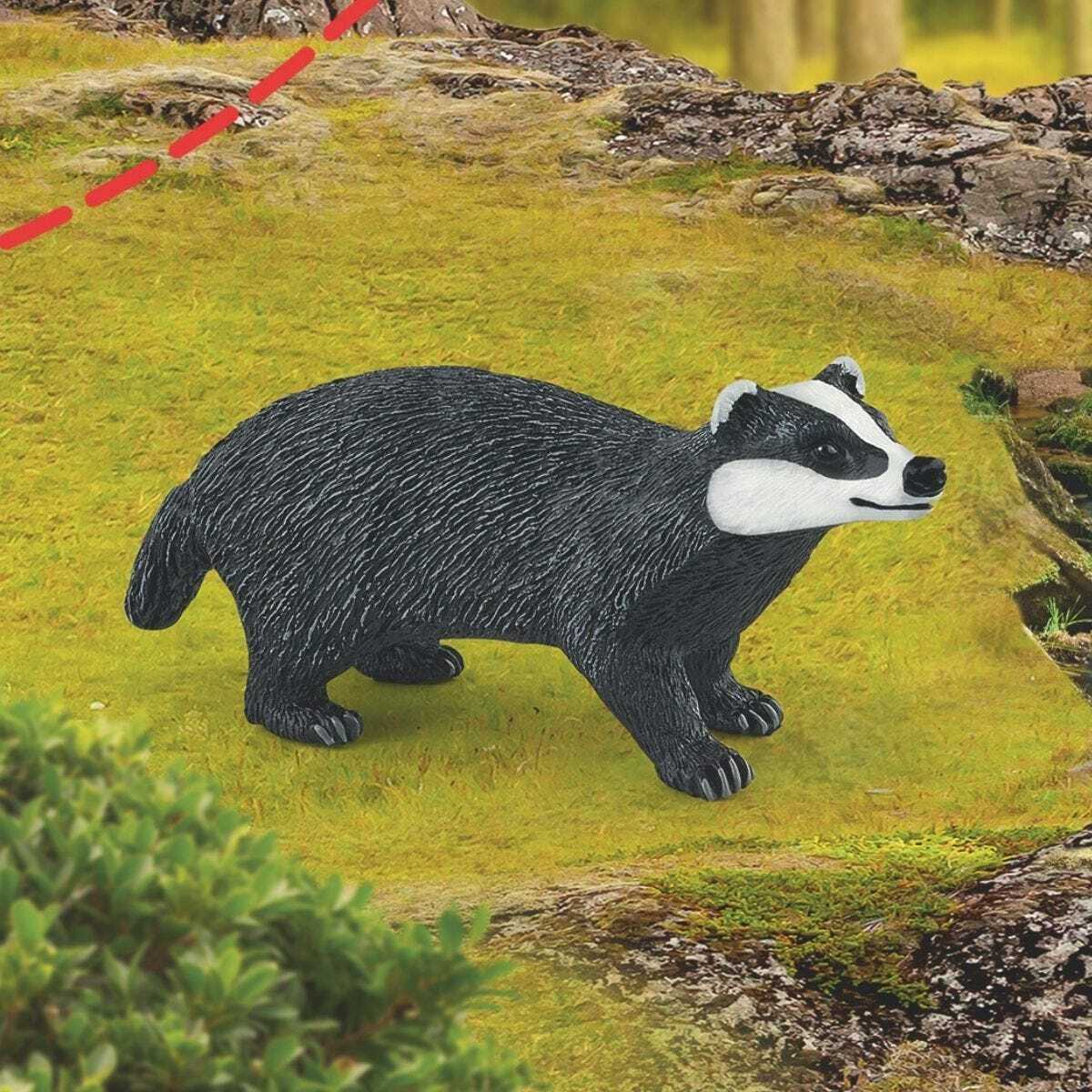 Badger - Image 2
