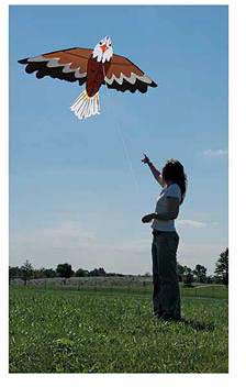 Bald Eagle Kite - Image 7