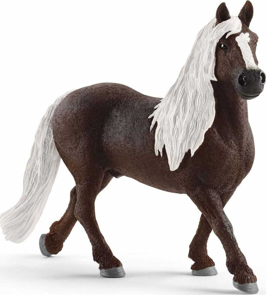 Black Forest Stallion - Image 2