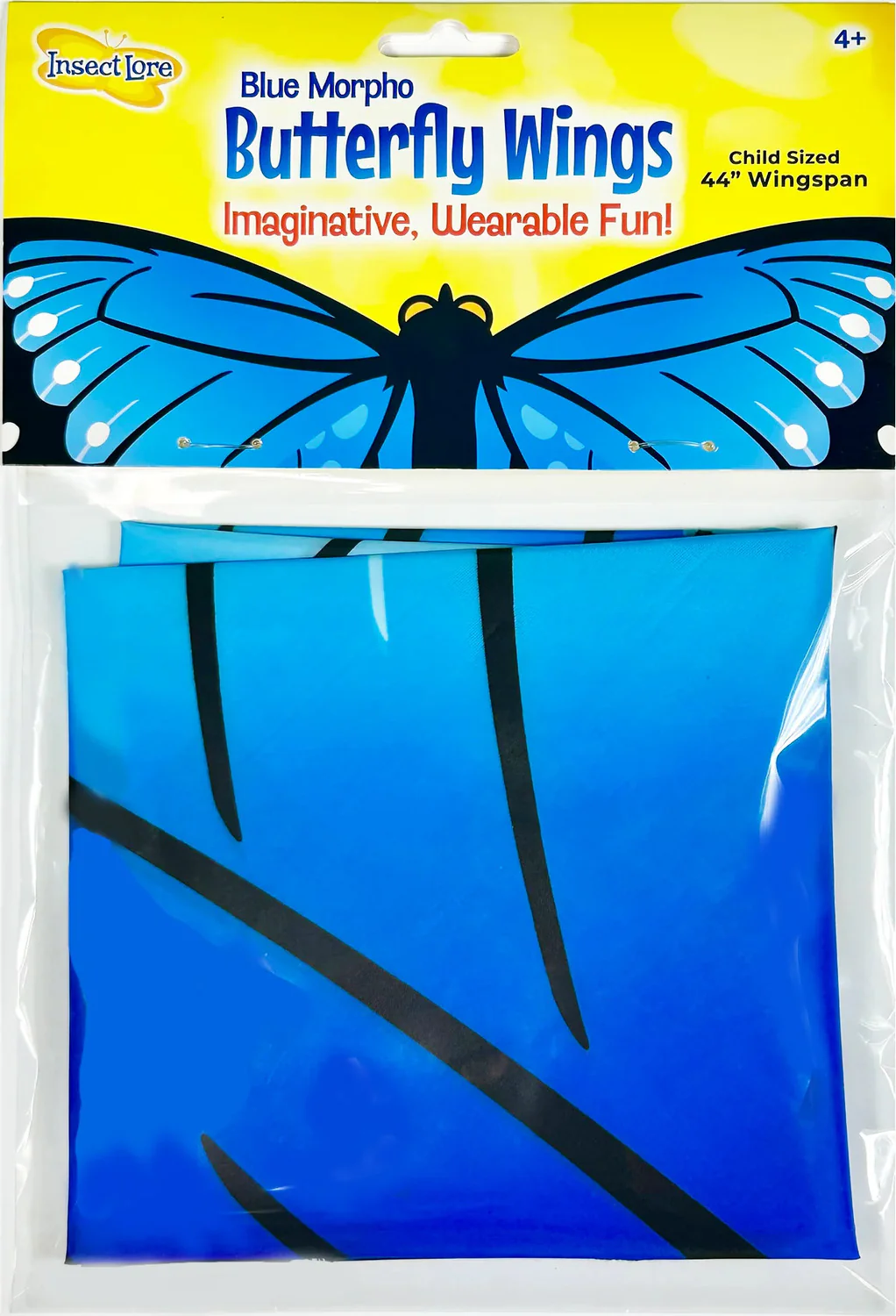 Blue Morpho Butterfly Wings