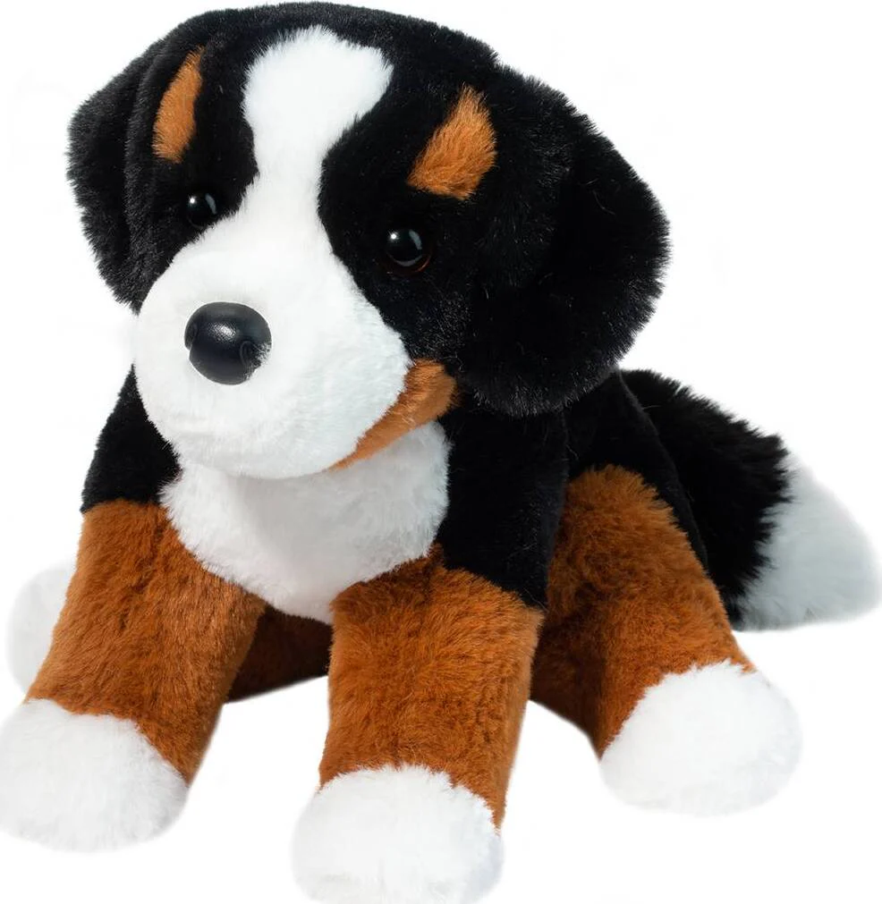 Bowie Bernese Mountain Dog - Image 2