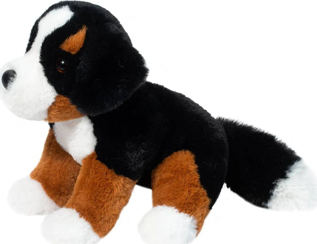 Bowie Bernese Mountain Dog - Image 3