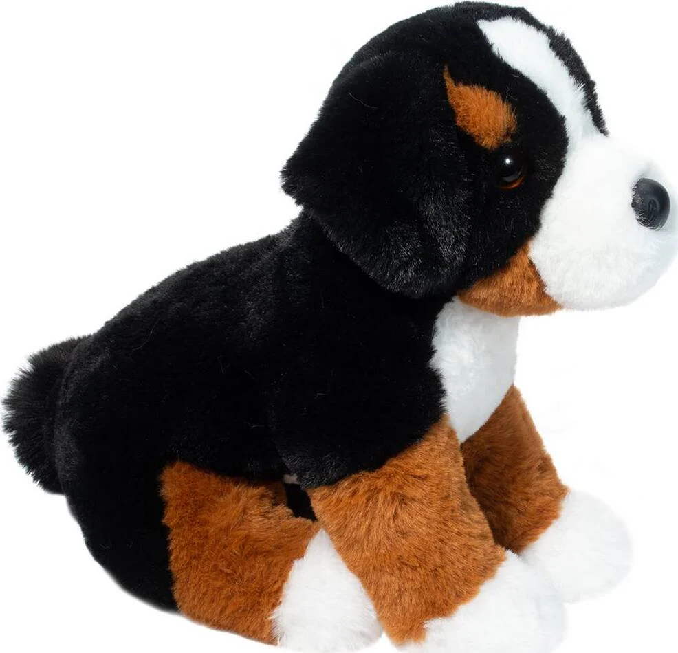 Bowie Bernese Mountain Dog - Image 5
