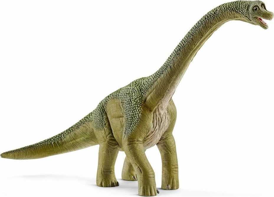 Brachiosaurus - Image 2