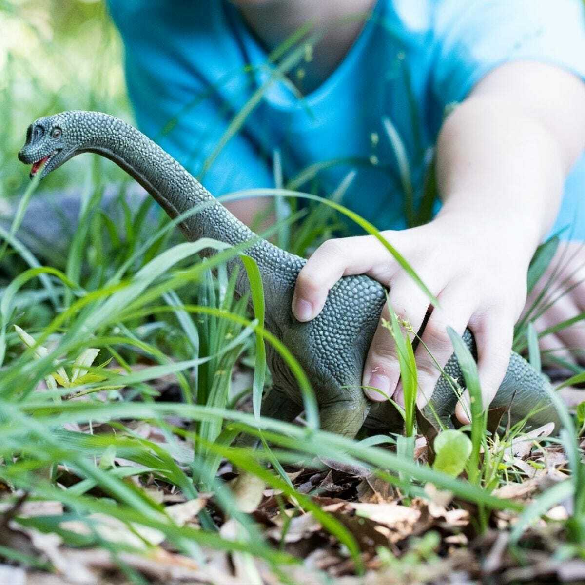 Brachiosaurus - Image 4
