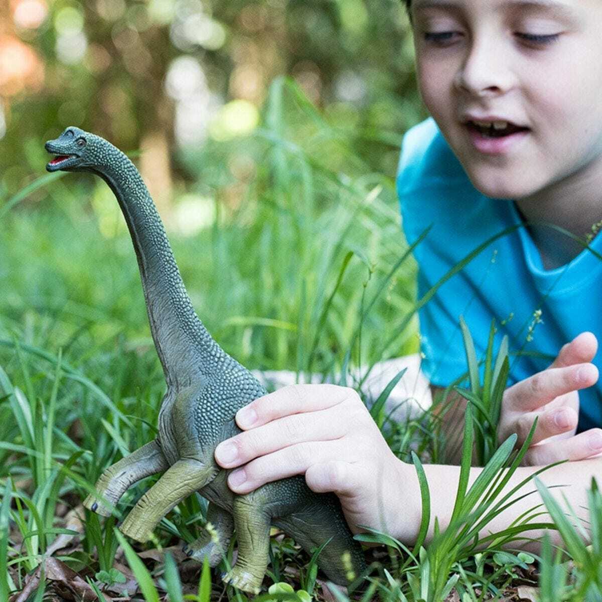 Brachiosaurus - Image 5