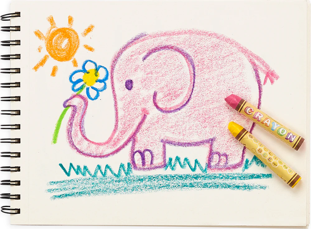 Brilliant Bee Crayons 12 Pack - Image 3
