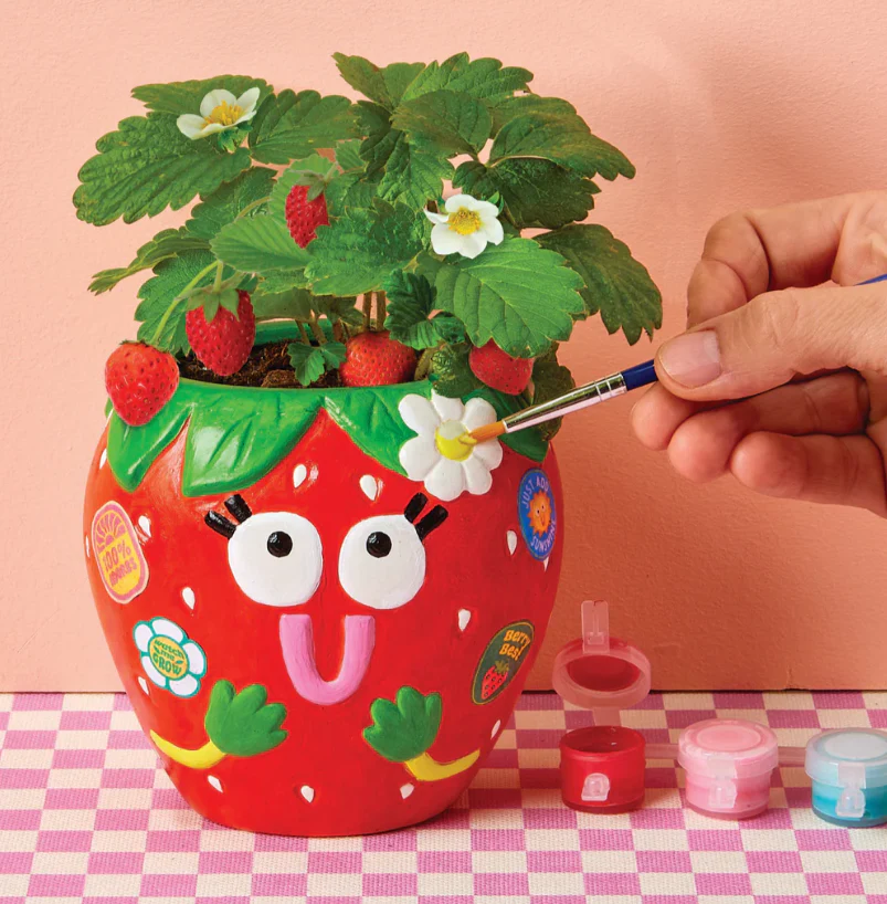 Paint & Grow Berry Sweet with Strawberry seeds - Image 2
