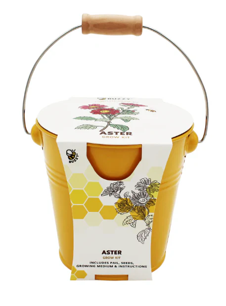 Pollinator Grow Kit (Sold Individually) - Image 2