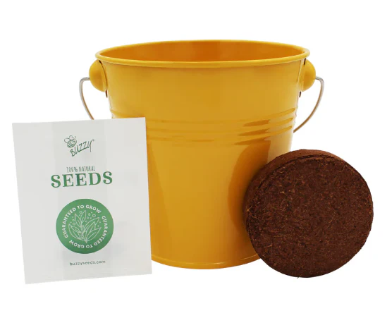 Pollinator Grow Kit (Sold Individually) - Image 3