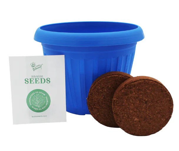 Chaos Garden Flower Grow Kit Buzzy Seeds - Image 2