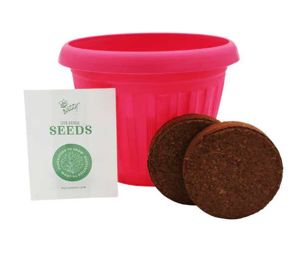Chaos Garden Flower Grow Kit Buzzy Seeds - Image 3