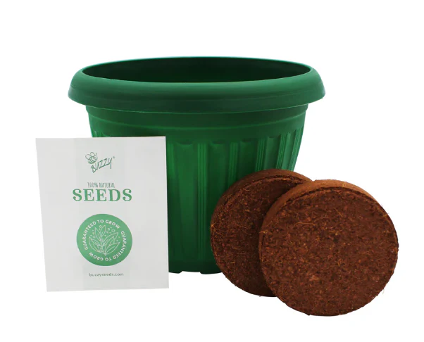 Chaos Garden Flower Grow Kit Buzzy Seeds - Image 4