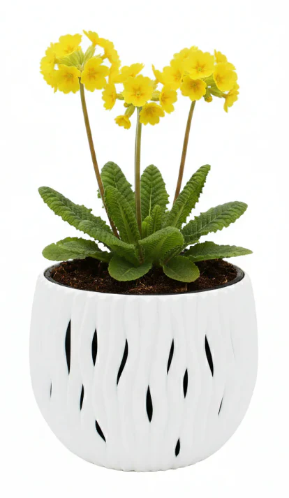 Primrose Flower Grow Kit - Image 2
