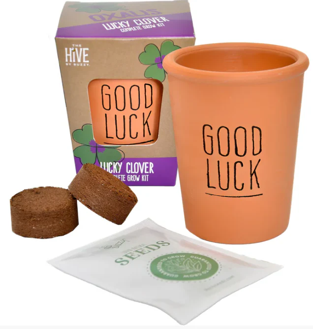 Lucky Clover Grow Kit - Image 2