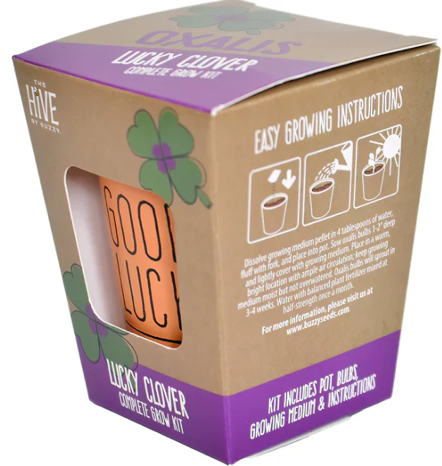 Lucky Clover Grow Kit - Image 3