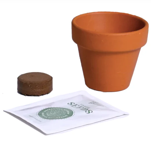 Sunflower Ceramic Grow Kit - Image 2
