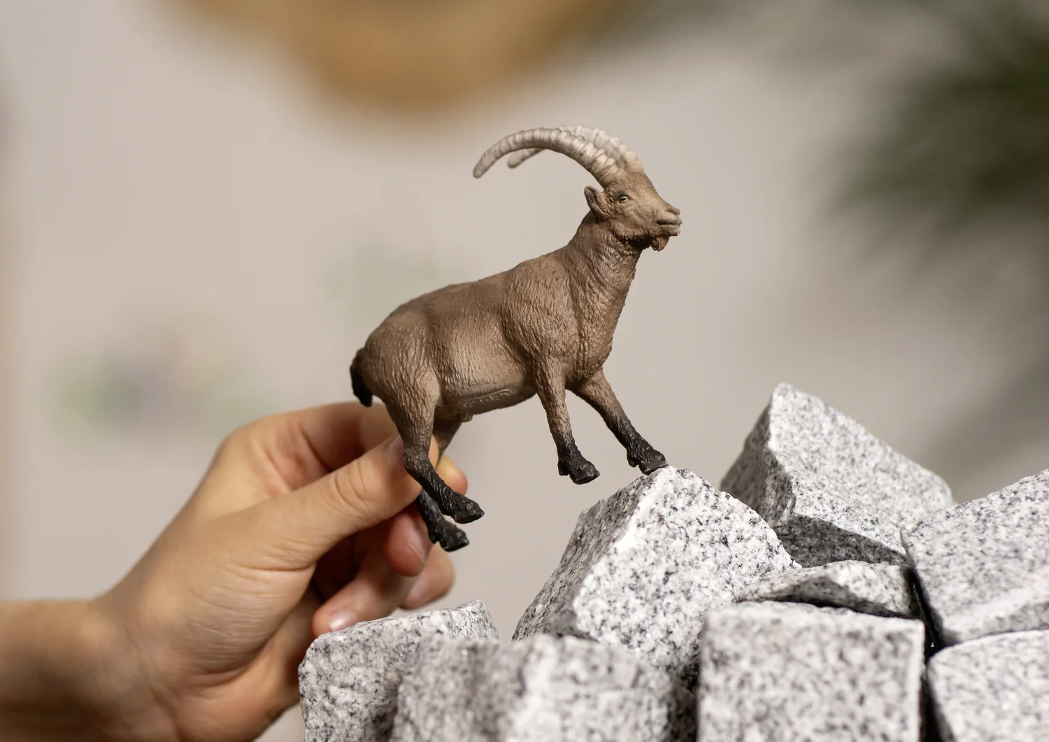 Capricorn - Image 2