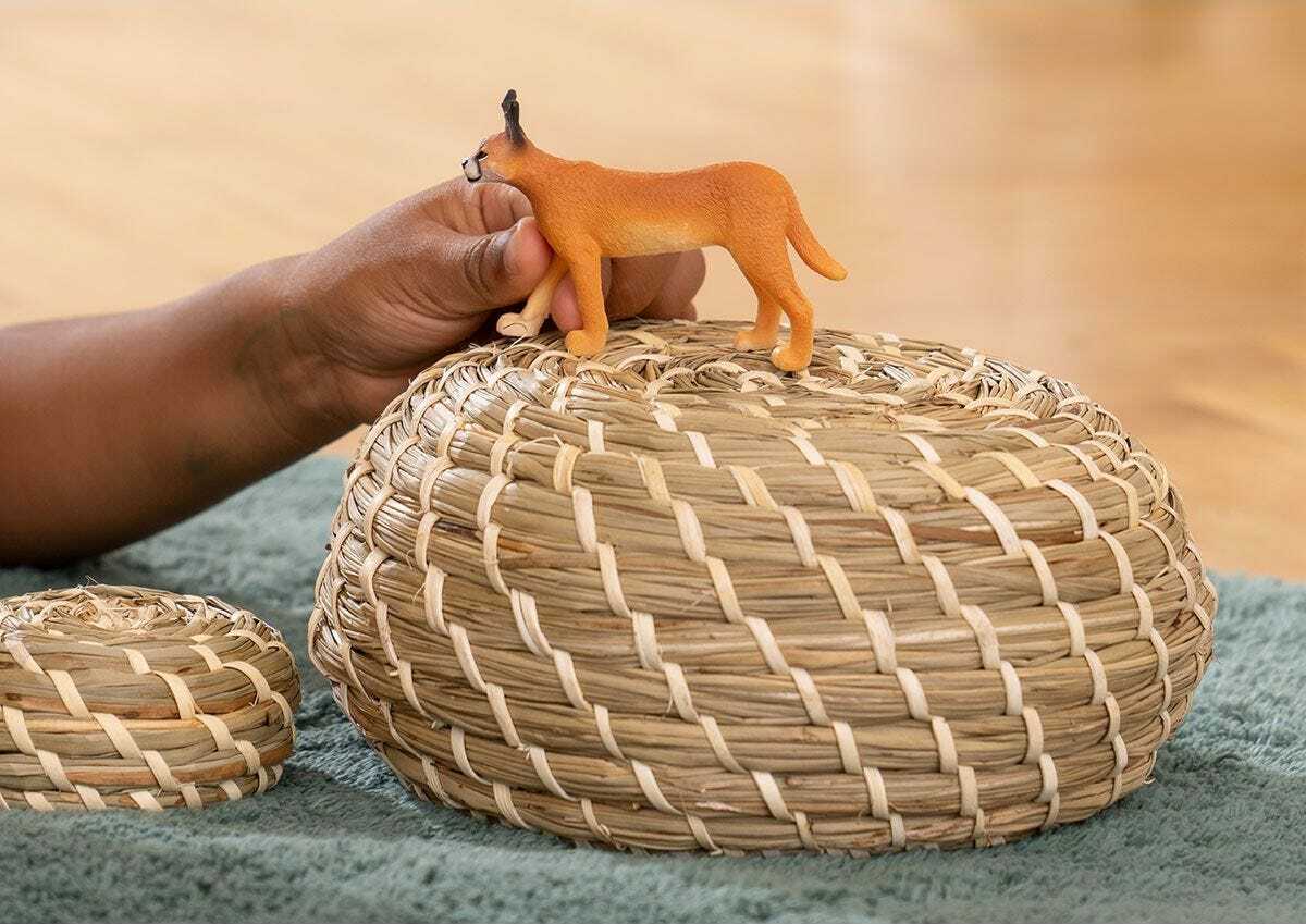 Caracal Female - Image 3