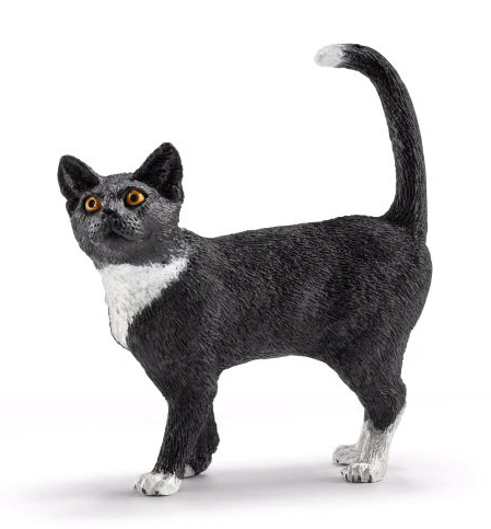 Cat, standing