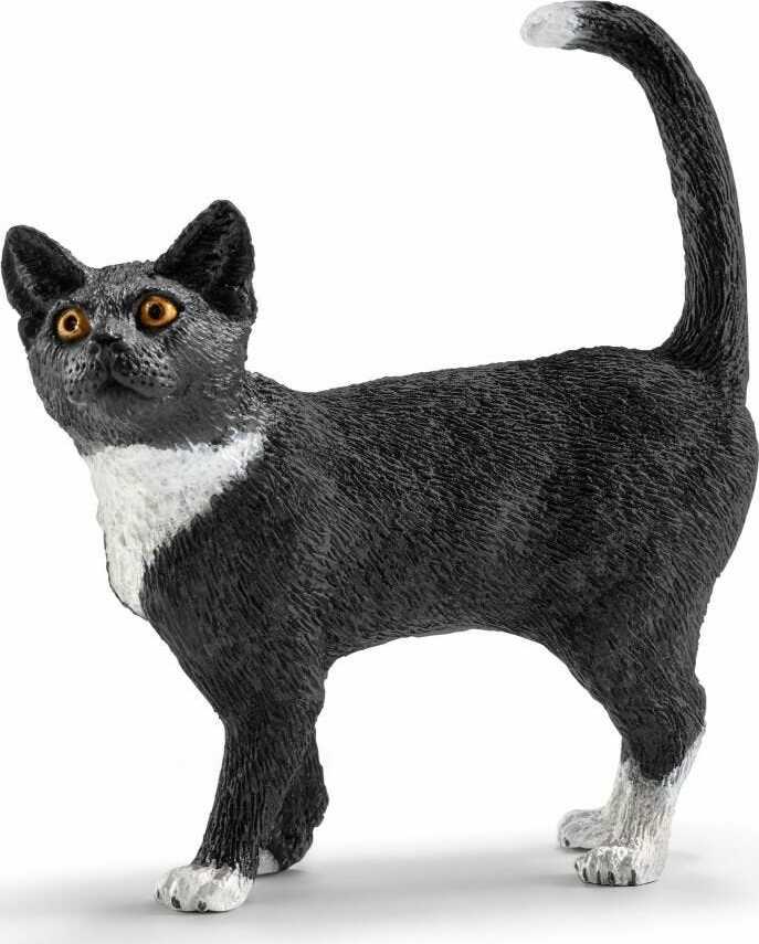 Cat, standing - Image 2