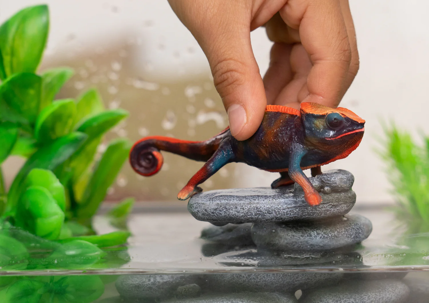 Chameleon - Image 2