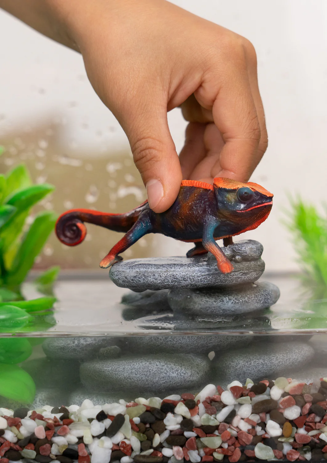 Chameleon - Image 4