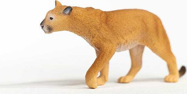 Cougar - Image 2