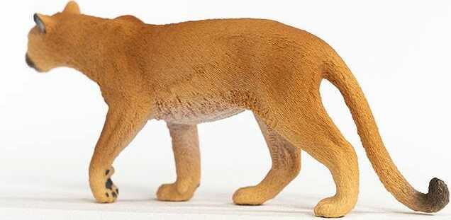 Cougar - Image 3