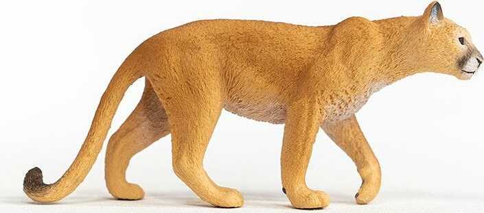 Cougar - Image 5