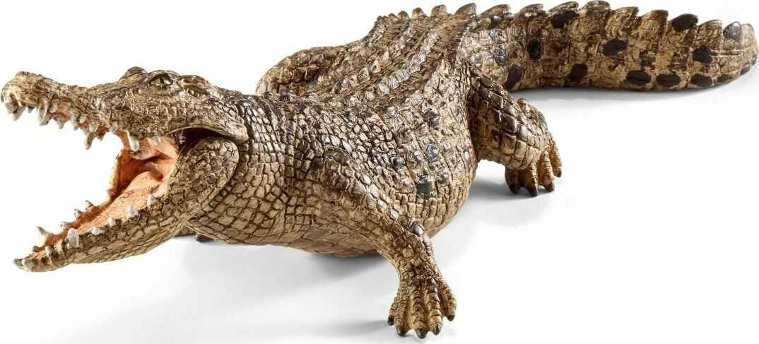 Crocodile - Image 2