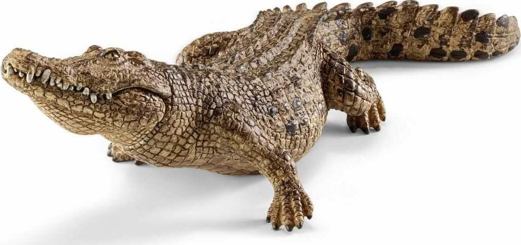 Crocodile - Image 3