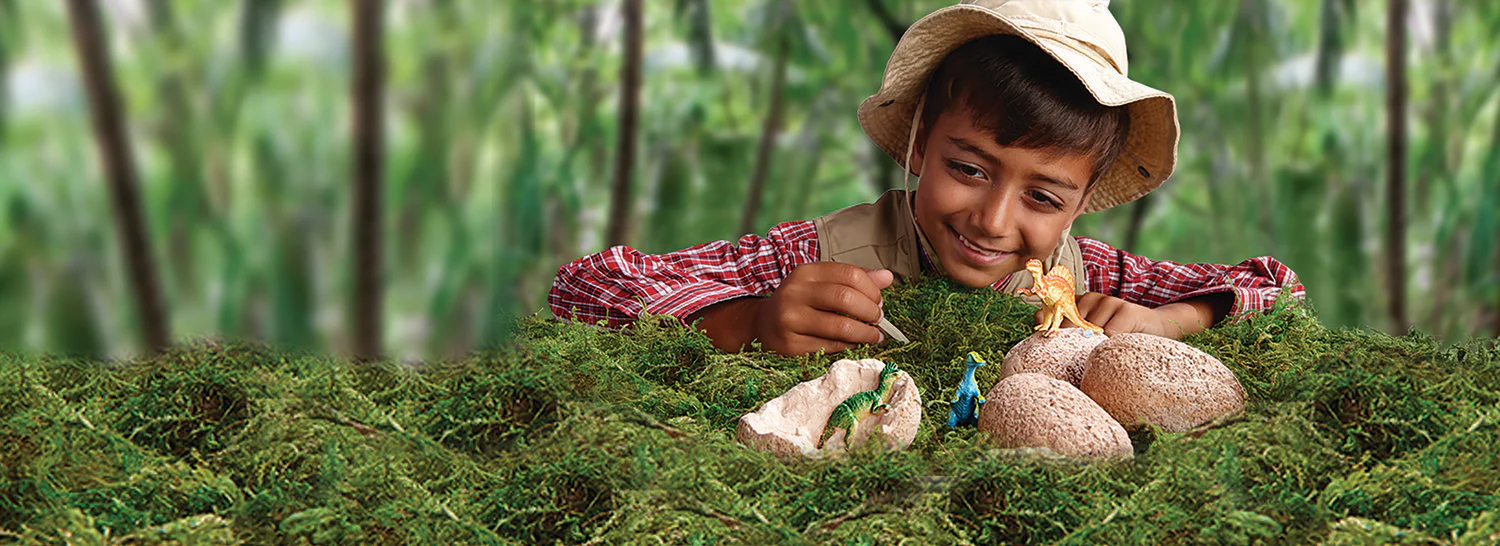 Dig It Up! Dinosaur Eggs - Image 6
